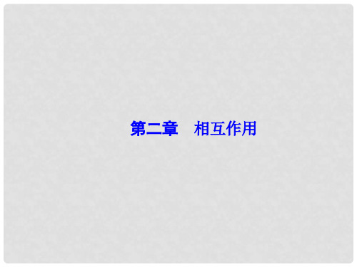 高考物理一轮总复习 第二章 相互作用 第1讲 重力、弹