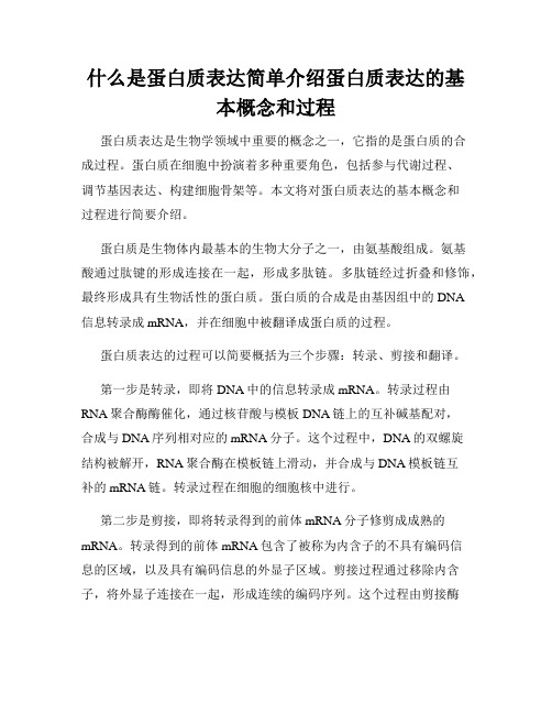 什么是蛋白质表达简单介绍蛋白质表达的基本概念和过程