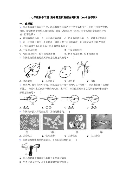 七年级科学下册 期中精选试卷综合测试卷(word含答案)