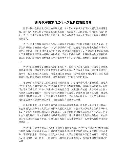 新时代中国梦与当代大学生价值观的培养