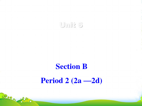 人教版初中英语课标版 九年级第六单元Section B (2a —2d)(共14张PPT)-课件