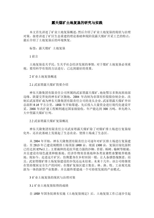 露天煤矿土地复垦的研究与实践
