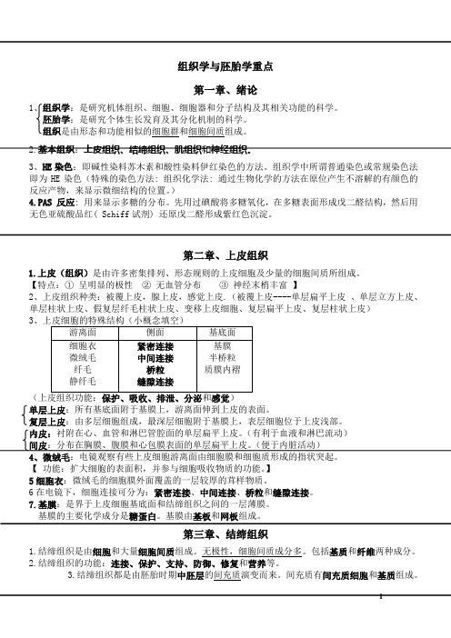 组织学与胚胎学重点 (1)