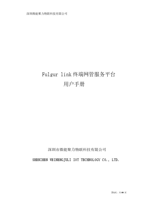 Fulgur Link 终端网管服务平台用户手册说明书