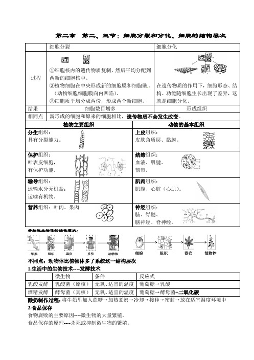 细胞的分裂、分化、结构层次