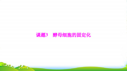 生物人教版选修一优化课件:专题4 课题3 酵母细胞的固定化