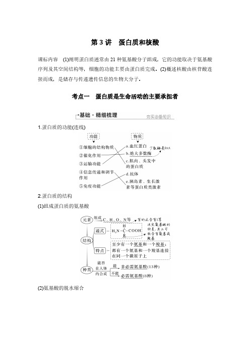 第3讲 蛋白质和核酸-2025年高考生物一轮复习练习(新人教新高考)