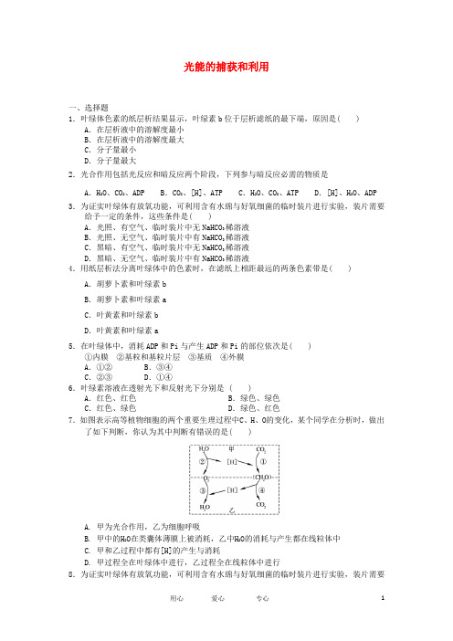 高中生物 3.2.3 光能的捕获和利用 1每课一练 中图必修1