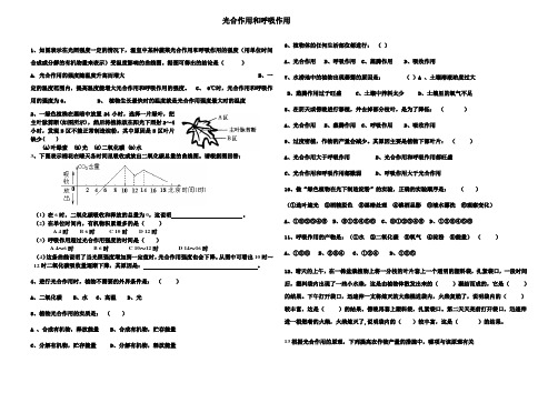 光合作用和呼吸作用复习题