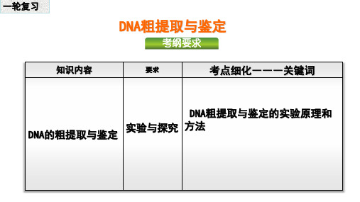 DNA的粗提取与鉴定(一轮复习)