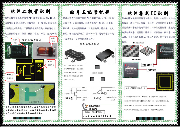 二极管、三极管、IC识别常识A3纸