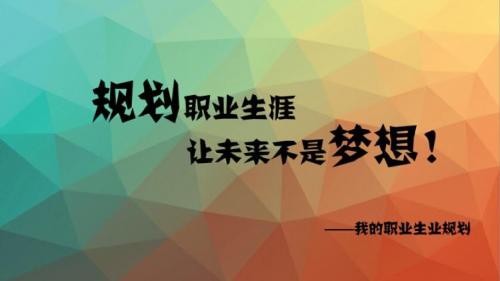大学职业生涯规划——电子商务PPT课件