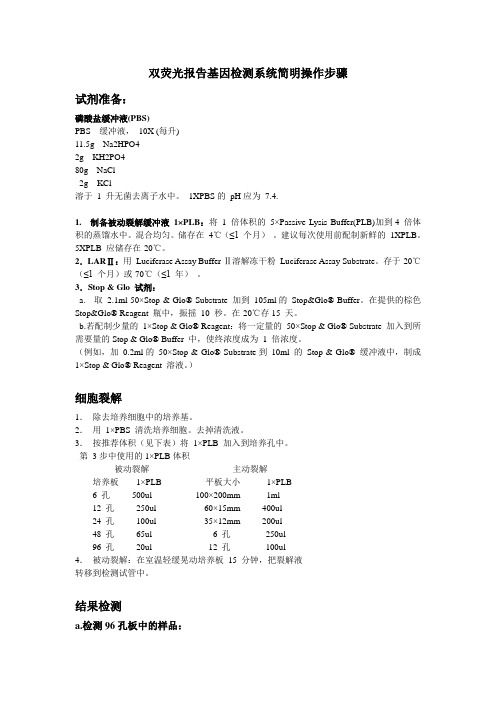 双萤光素酶分析实验操作步骤