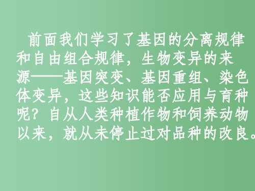 (新课标)高中生物 6.1杂交育种与诱变育种课件30