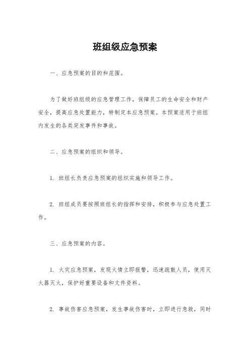 班组级应急预案