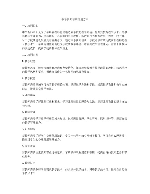 中学新师培训计划方案