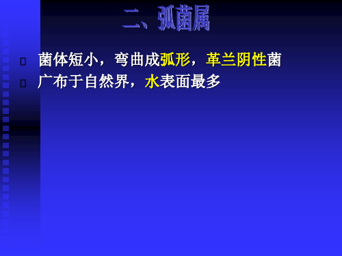 弧菌属