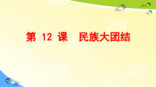 部编版八年级下册 民族大团结共31页)