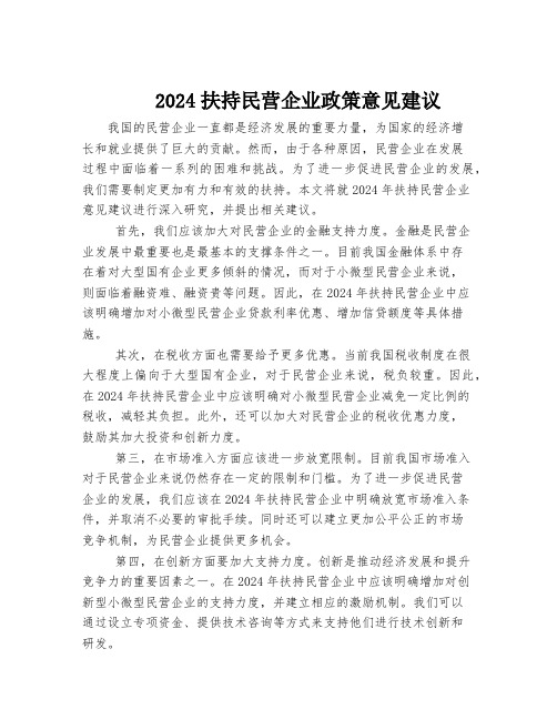 2024扶持民营企业政策意见建议