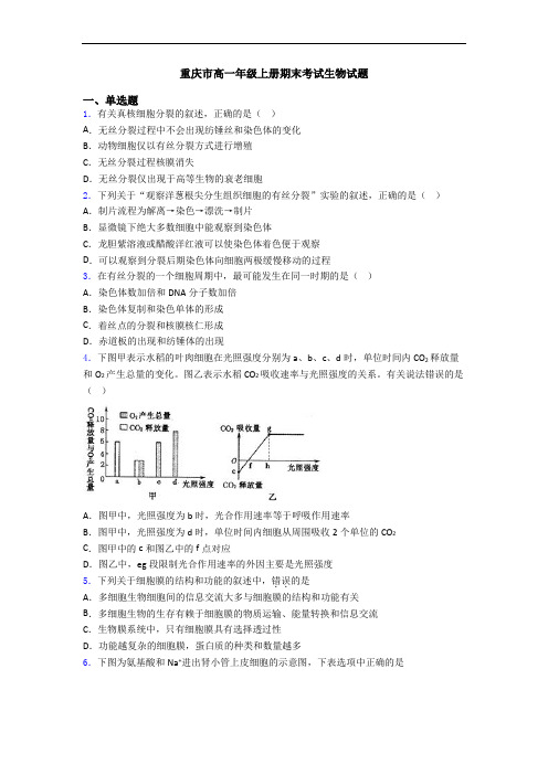 重庆市高一年级上册期末考试生物试题