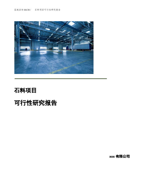 石料项目可行性研究报告