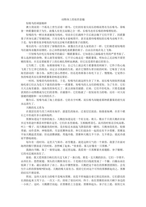 高中大语文阅读之做人与处世：动物身上的处世意趣