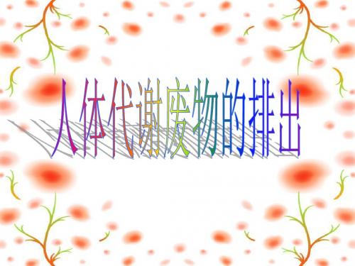 甘肃专用 人教版七年级生物《人体代谢废物的排出》课