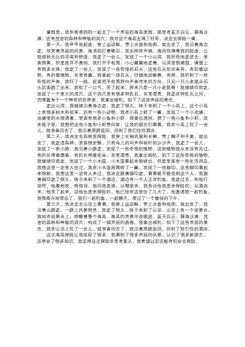 我在海岛上的探险故事