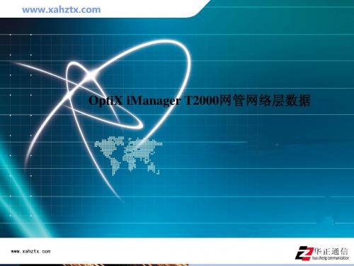 OptiX iManager T2000网管网络层数据