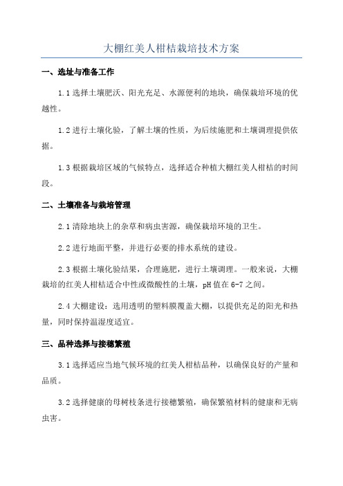 大棚红美人柑桔栽培技术方案