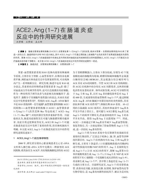 ACE2、Ang(1-7)在肠道炎症反应中的作用研究进展