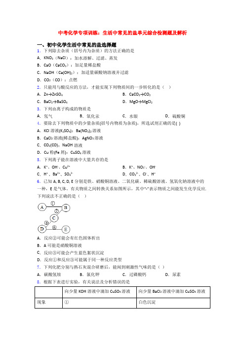 中考化学专项训练：生活中常见的盐单元综合检测题及解析