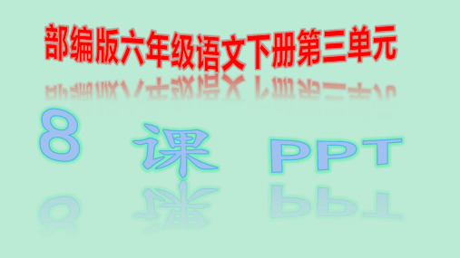 部编版六年级语文下册第三单元8课匆匆PPT优秀课件