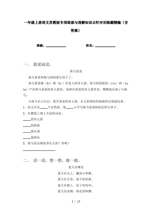 一年级上册语文苏教版专项阅读与理解知识点针对训练题精编(含答案)