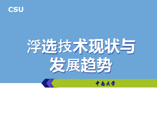 第三部分--浮选技术现状与发展趋势