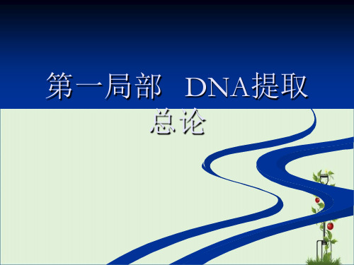 DNA提取和制备解读