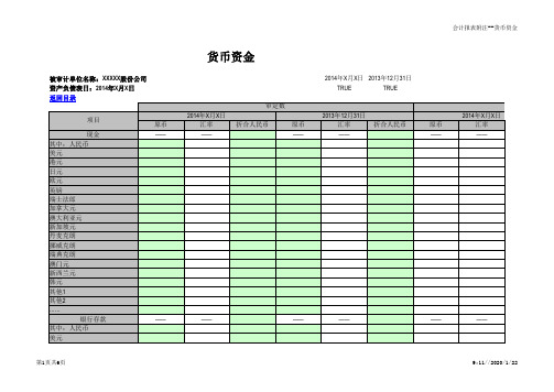 合并财务报表试算平衡表及附注(IPO)-货币资金