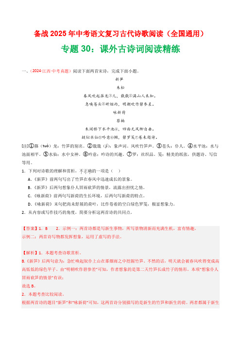 专题30：课外古诗词阅读精练-2025年中考语文复习古代诗歌阅读(全国通用)(教师版)