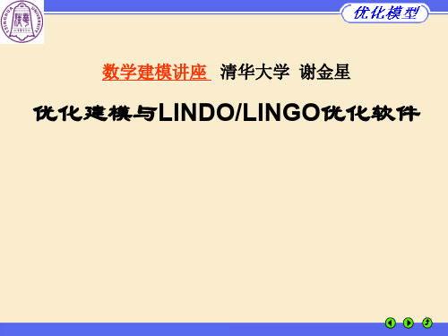 清华大学--谢金星--optimizatio-lindo北戴河精品教育文档