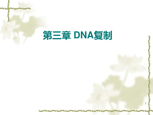 分子生物学 第三章 DNA的复制PPT课件