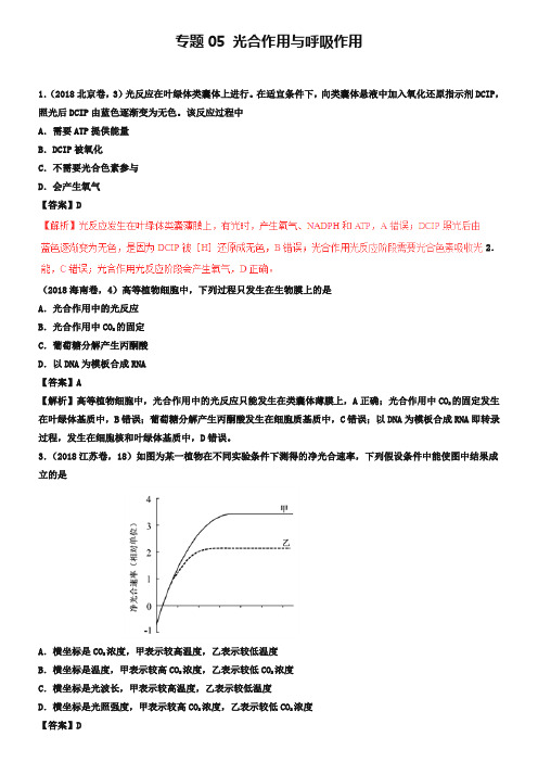 三年高考2018-2019高考生物试题分项版解析专题05光合作用与呼吸作用含解析_2243