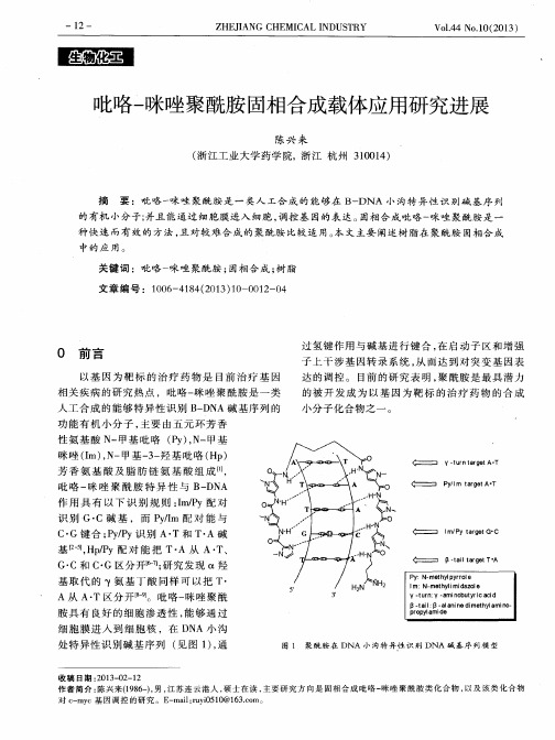 吡咯-咪唑聚酰胺固相合成载体应用研究进展