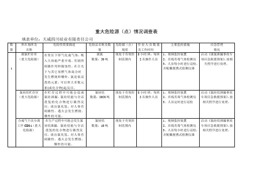 重大危险源(点)情况调查表