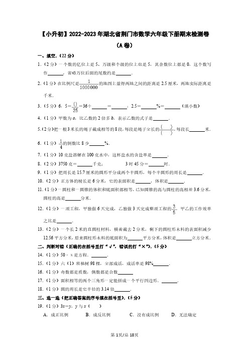 【小升初】2022-2023学年湖北省荆门市数学六年级下册期末检测卷(A卷)含解析