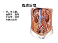 局部解剖课件15腹膜后隙