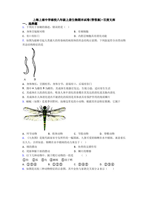 上海上南中学南校八年级上册生物期末试卷(带答案)-百度文库