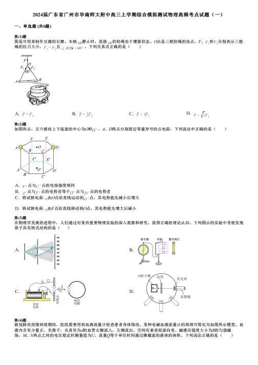 2024届广东省广州市华南师大附中高三上学期综合模拟测试物理高频考点试题(一)