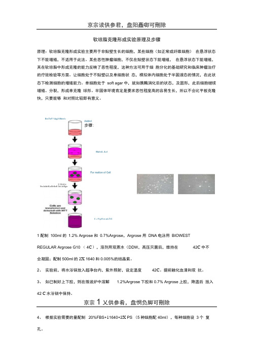 软琼脂克隆形成实验(特选内容)