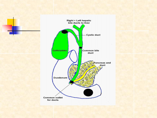 2018年腹部病胆道疾病外科学课件-文档资料