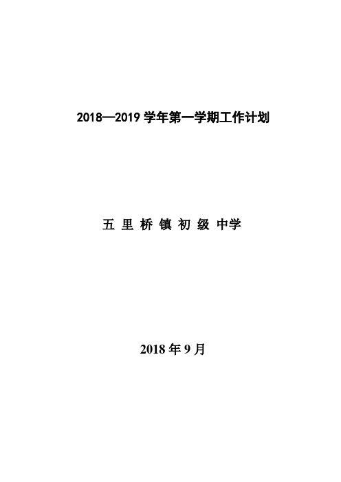 2018—2019学年第一学期工作计划